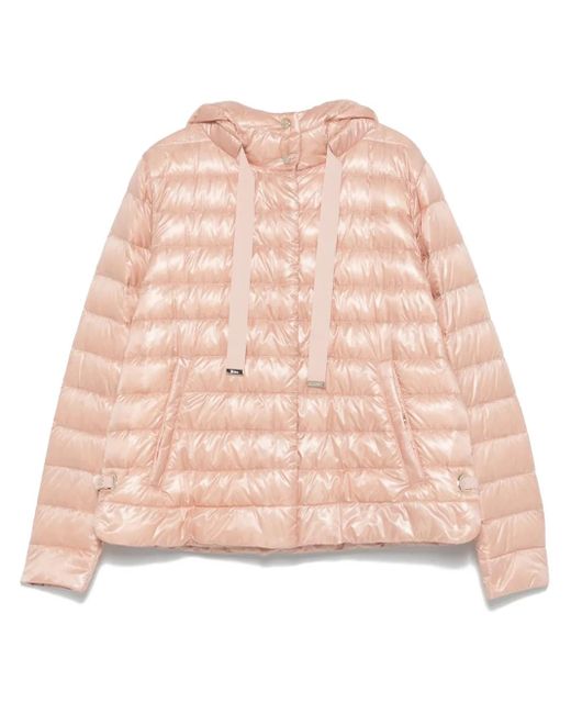 Herno Pink Elegant Jacket