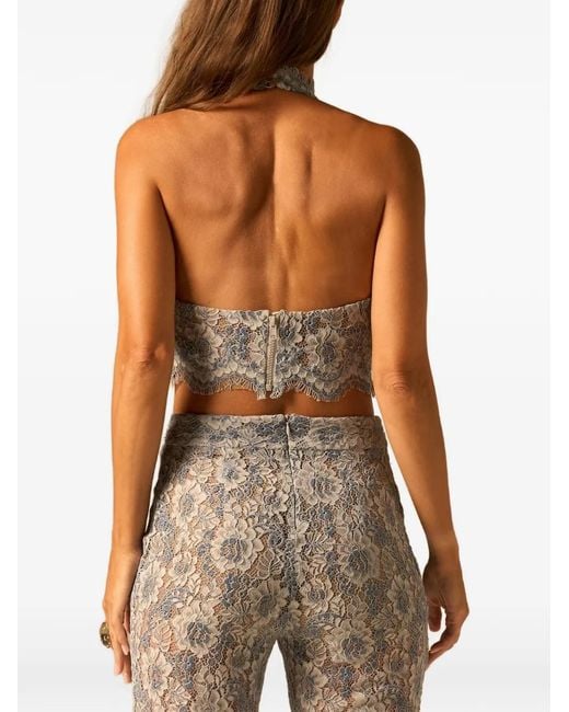 JBQ Brown Gael Lace Halter Top