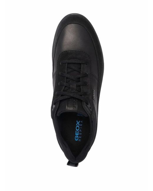 Geox Spherica Sneakers in Black für Herren