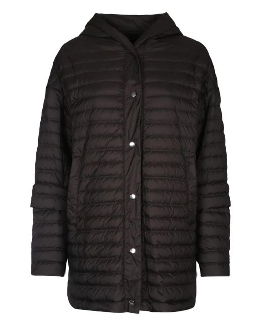 Add Gevoerd Jack Met Capuchon in het Black