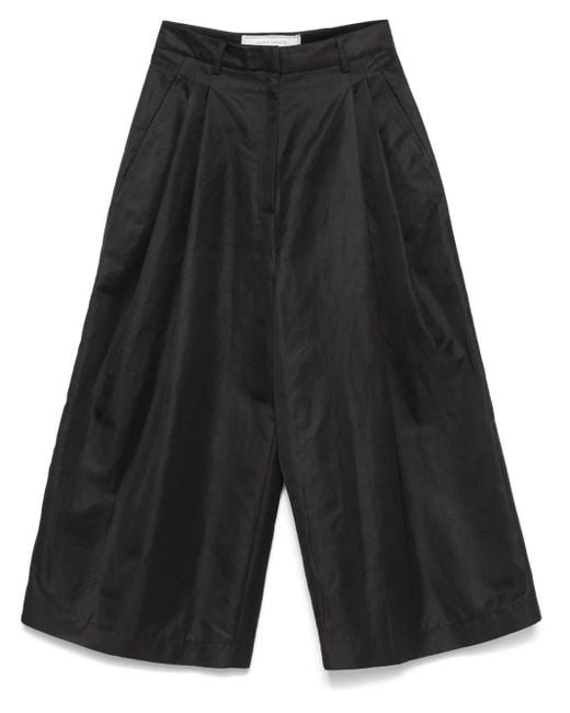 Societe Anonyme Black Moga Hose
