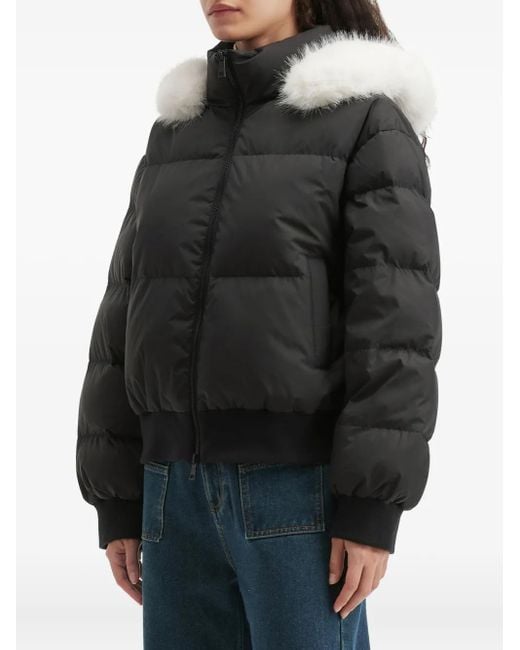 B+ AB Black Hooded Puffer Jacket