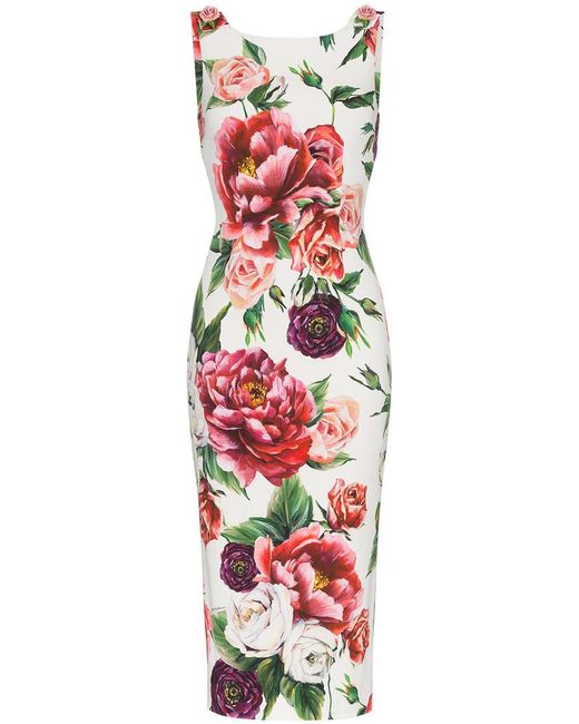 Dolce & Gabbana Pink Fitted Peony-print Dress
