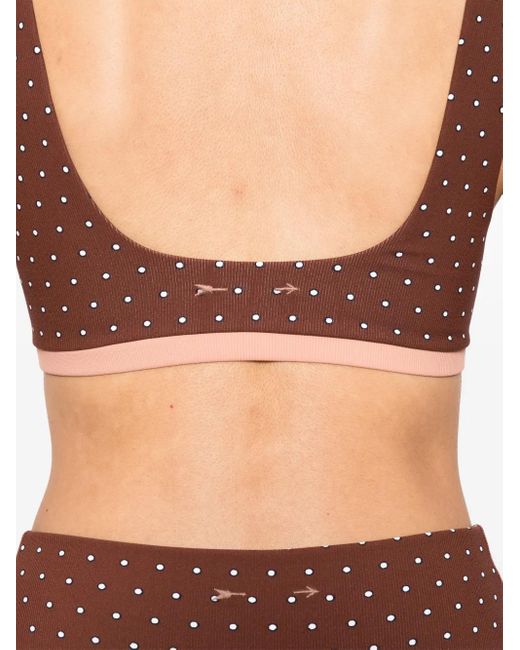 The Upside Brown Maho Harley Bra
