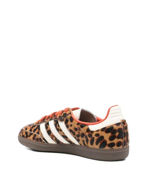 Adidas Brown Sneakers