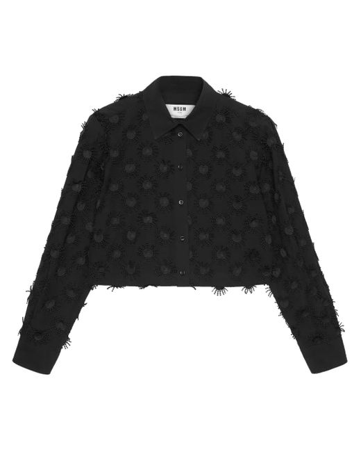 Camicia di MSGM in Black