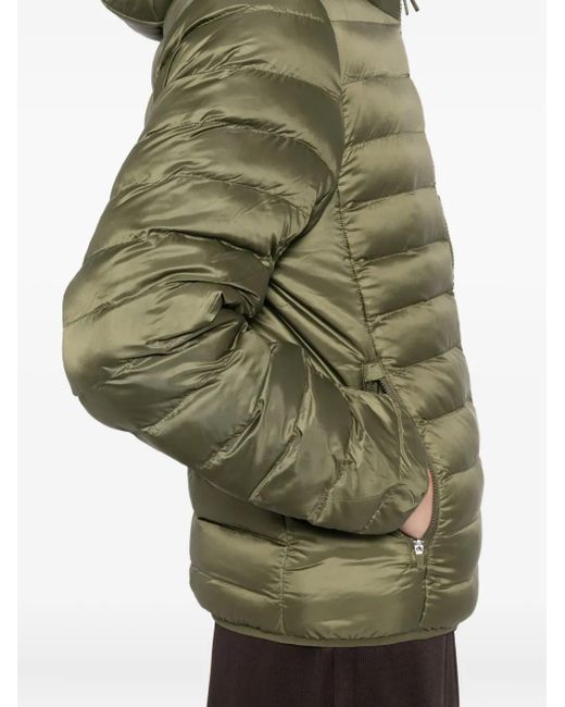 Lacoste Gewatteerd Jack Met Capuchon in het Green voor heren