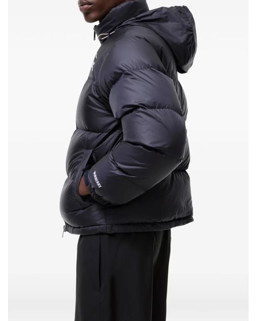 Burberry Blue Highlands Padded Jacket for men