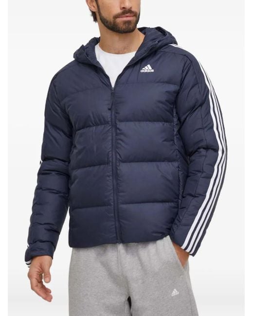 Adidas Blue Three-Stripe Padded Jacket for men