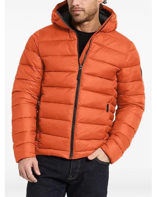 Didriksons Orange Ed Quilted Hooded Jacket for men