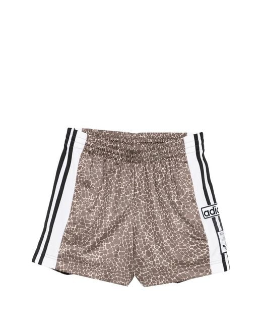 Adidas Brown Animal-Print Shorts