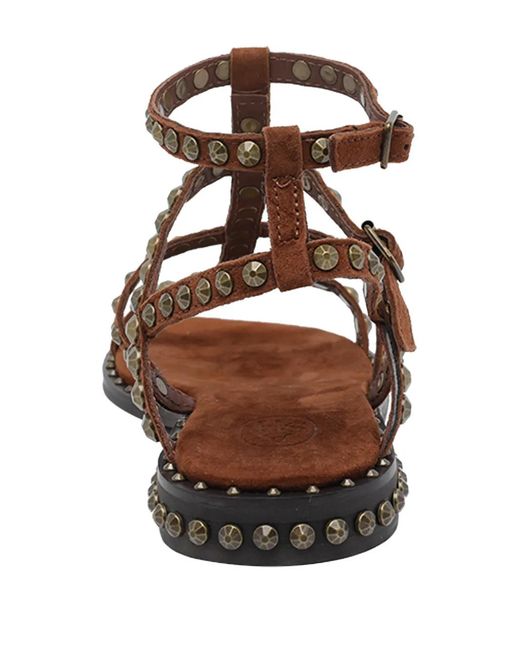 Ash Brown Precious Stud-Embellished Sandals