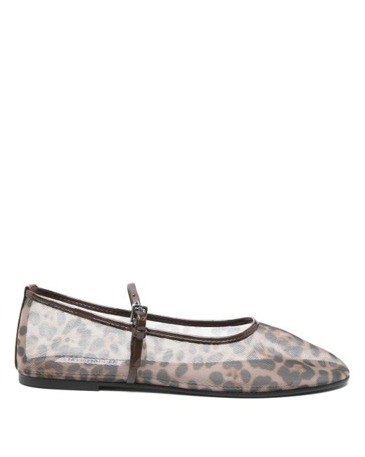 Ballerines Mash Leopard Steve Madden en coloris White