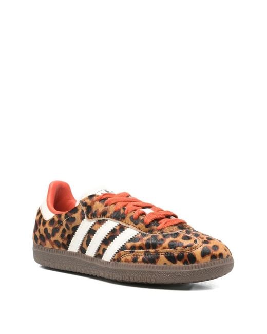 Adidas Brown Sneakers