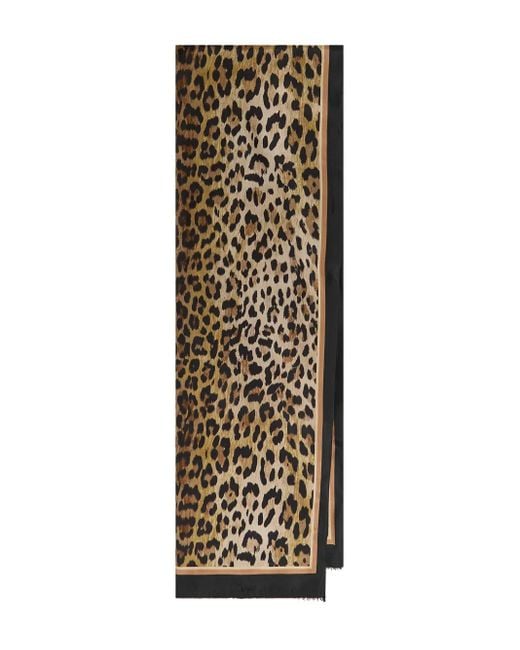 Maliparmi Natural Leopard-Print Scarf