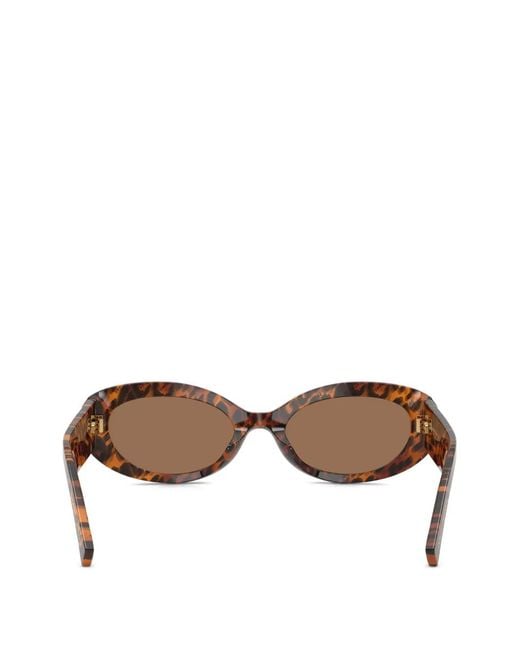 Dolce & Gabbana Brown Leopard-Print Oval-Frame Sunglasses