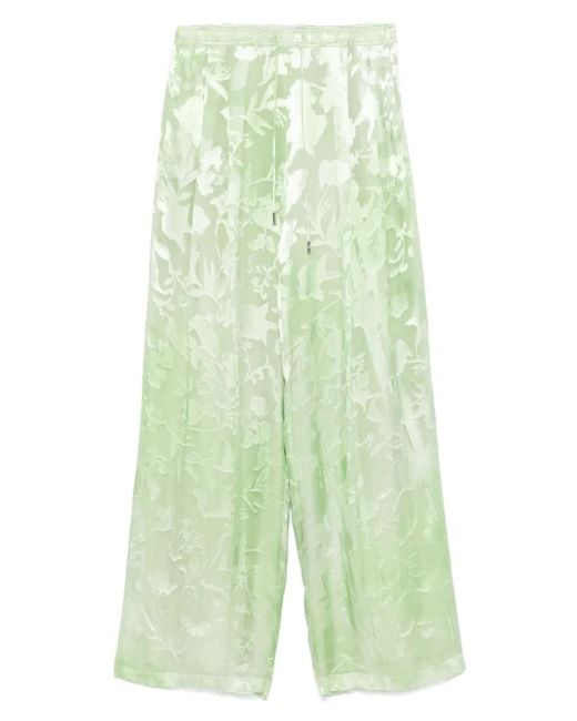 Ermanno Scervino Green Hose Mit Blumenjacquard