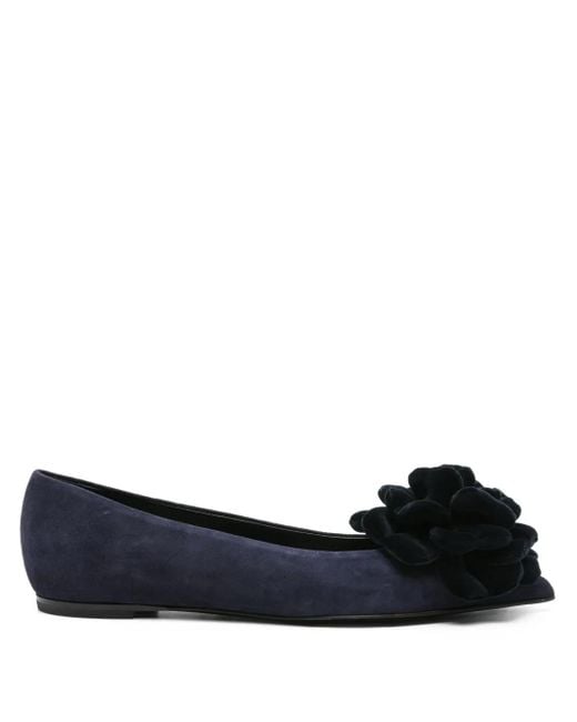 Agl Attilio Giusti Leombruni Blue Flower-Embellished Suede Flat Pumps