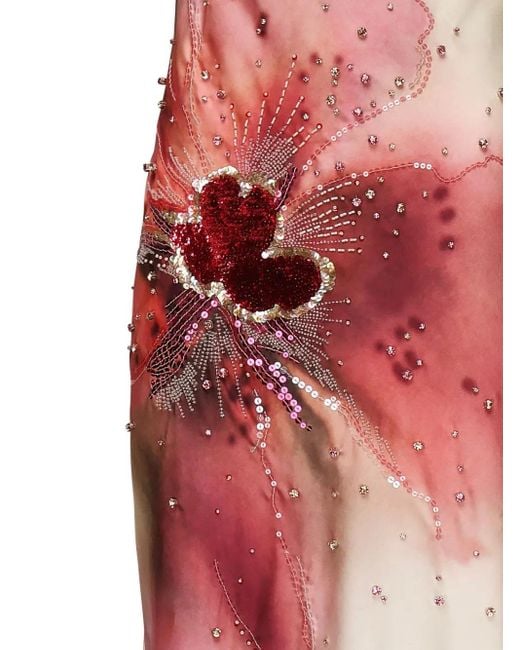 halter neckline midi dress Petal and Pup Women's Anabelle Halter Neck Midi Dress