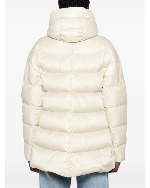 SERGIO MORETTI FIRENZE Natural Hooded Padded Jacket