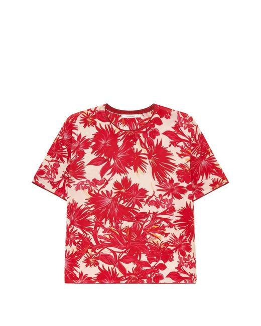 Maliparmi Red Floral Round-Neck T-Shirt