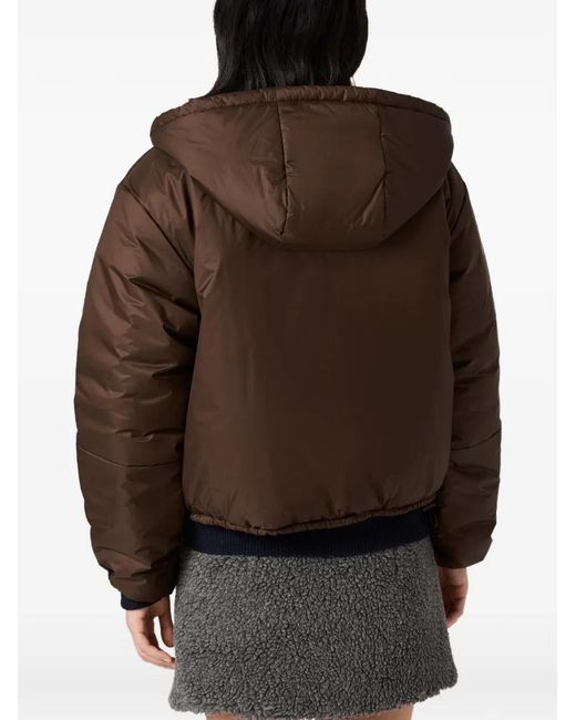 Miu Miu Brown Cropped Ripstop Down Jacket