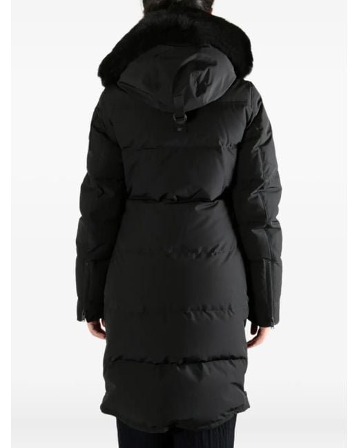 Moose Knuckles Black Hooded Coat for men