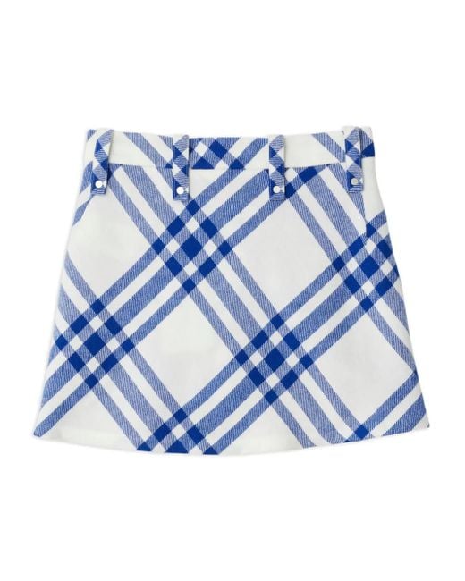 Burberry Blue Skirts