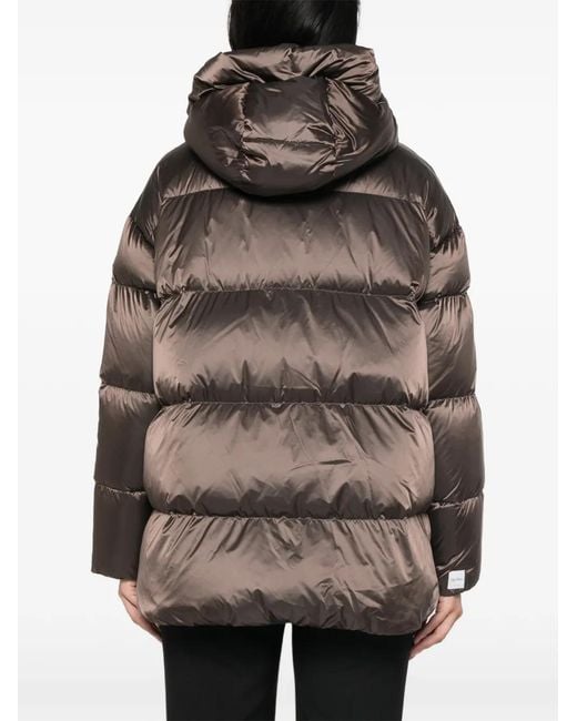 Max Mara Brown Mtnerine Padded Coat