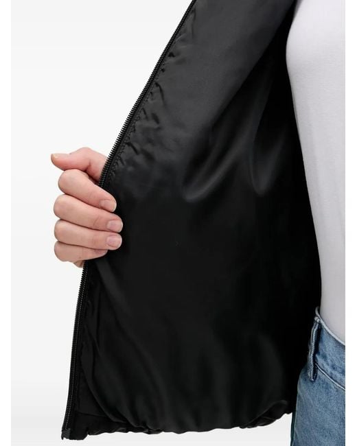 Adidas Black Logo-Detail Puffer Jacket