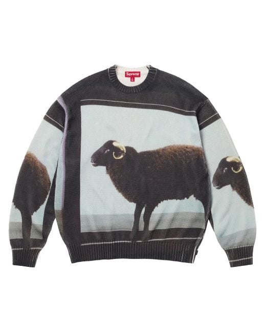 X Damien Hirst Pull En Maille Intarsia Supreme pour homme en coloris Gray