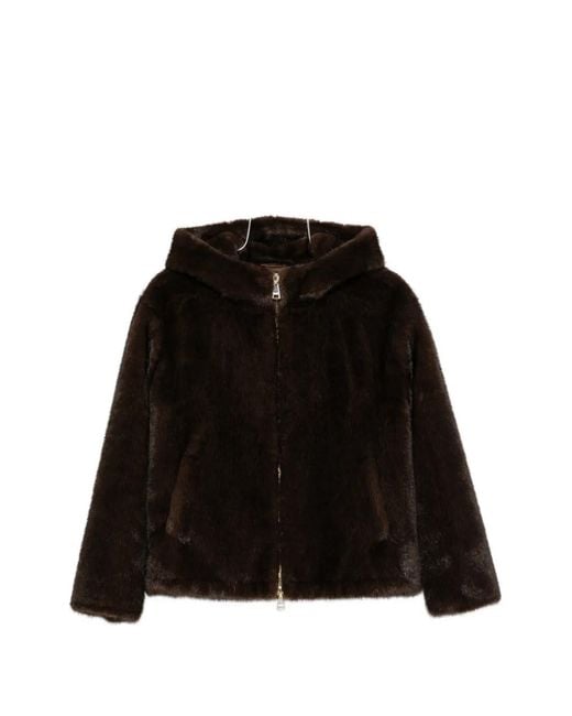 ERMANNO FIRENZE Black Zip-Fastening Hooded Jacket