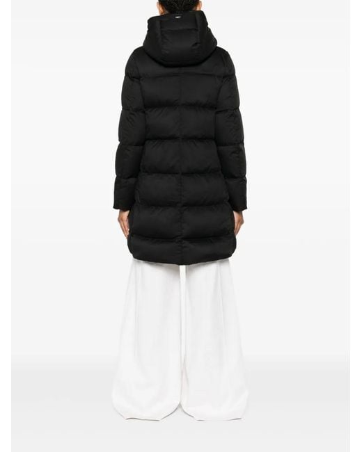 Herno Black Coats