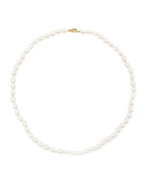 Adina Reyter White 14Kt Chunky Seed Pearl Necklace