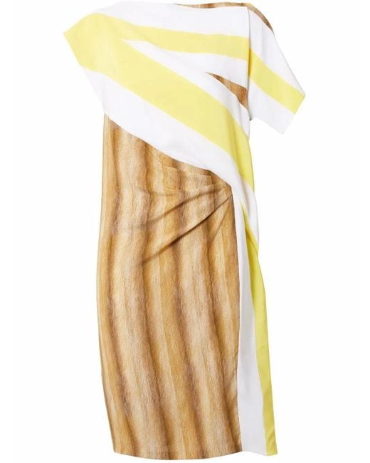 Burberry Metallic Flag And Animal Print Silk Asymmetric Dress