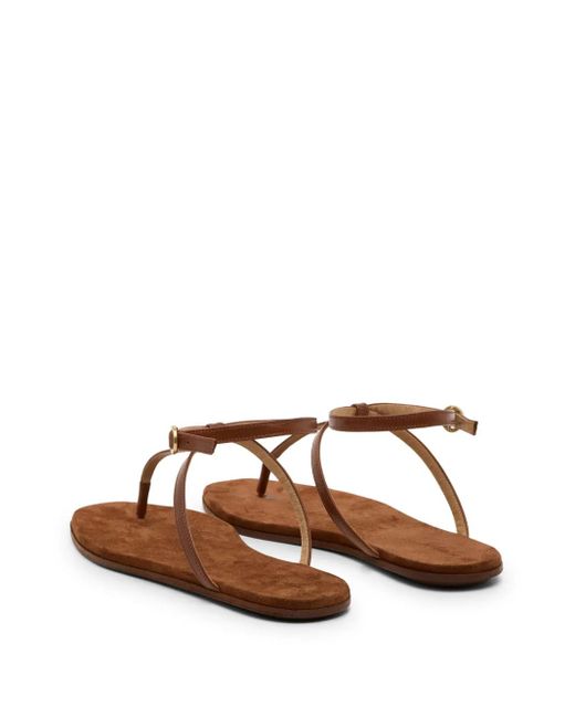 Marsèll Brown Traccia Sandals