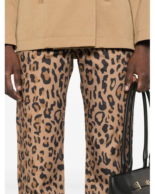 Blazé Milano Natural Paso Jeans