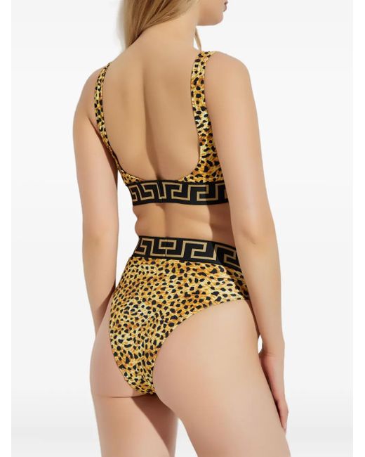 Versace Natural Bikinioberteil Mit Leoparden-Print
