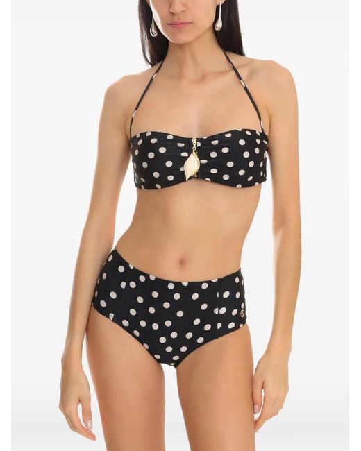 Brigitte Bardot Black Shell-detail Bikini