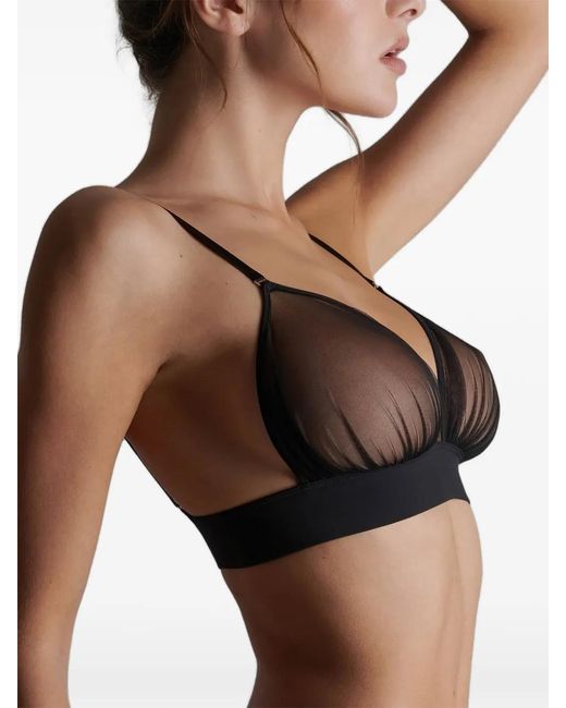 Scandale Black Nuit Fauve Triangle Bra