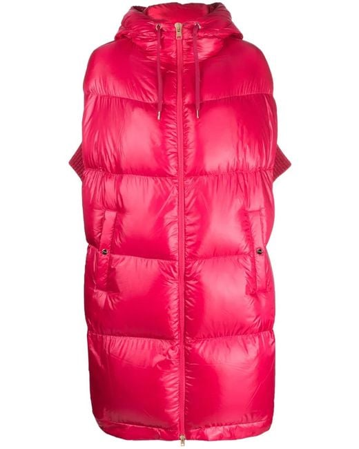 Herno Donsjack Met Capuchon in het Pink