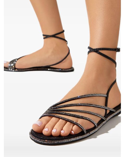 Le Silla White Scarlet Sandals
