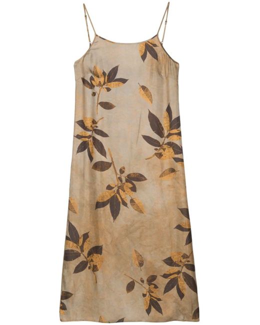 Uma Wang Natural Anaya Leaf-print Midi Dress