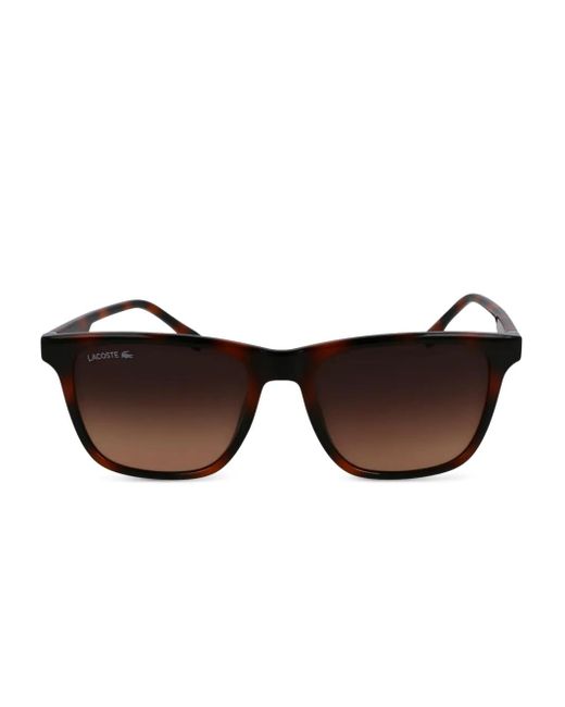 Lacoste Brown Logo-Print Sunglasses for men
