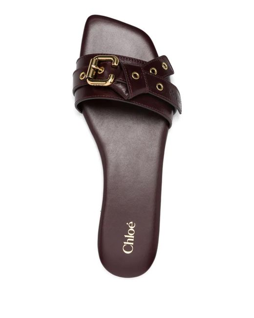 Chloé Brown Mae Slide