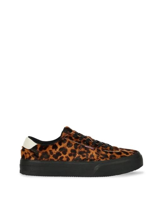 Paul Smith Brown Leopard-Print Sneakers for men
