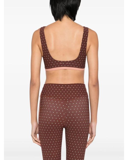 The Upside Brown Maho Harley Bra