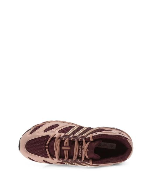 Adidas Brown Adistar Mld Mesh Sneakers