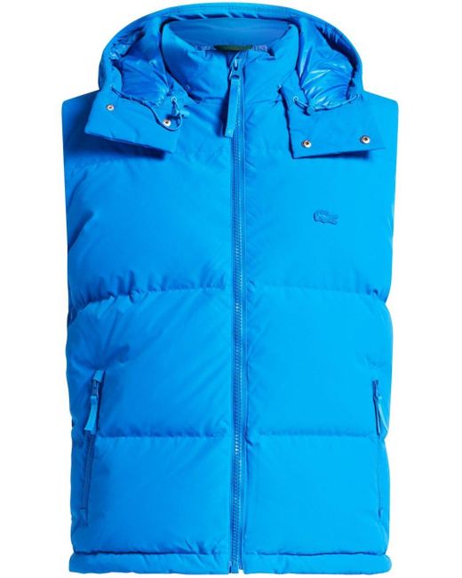 Lacoste Blue Quilted Down Hooded Gilet for men