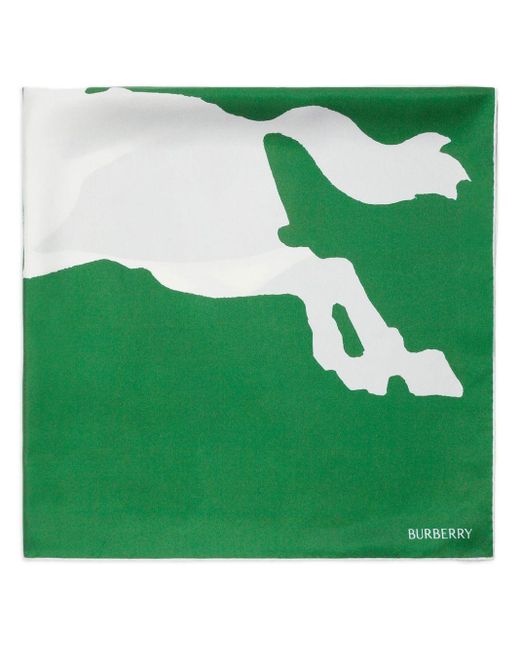 Burberry Green Ekd-print Two-tone Scarf